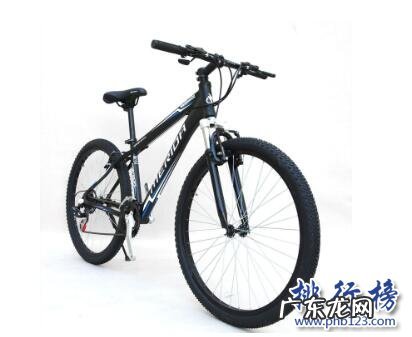 中国自行车十大品牌排行榜 山地自行车十大品牌排行榜:凤凰、永安上榜