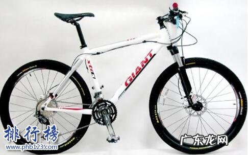 中国自行车十大品牌排行榜 山地自行车十大品牌排行榜:凤凰、永安上榜