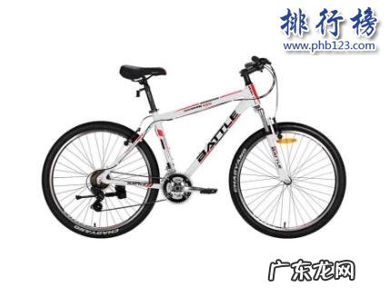 中国自行车十大品牌排行榜 山地自行车十大品牌排行榜:凤凰、永安上榜