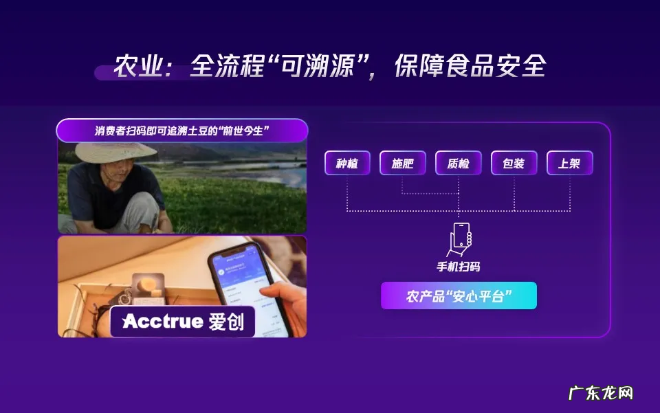 腾讯庄文磊：关于碳中和、农业和文物的3个数字化故事