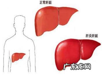 长期不吃晚饭对肝脏有好处吗