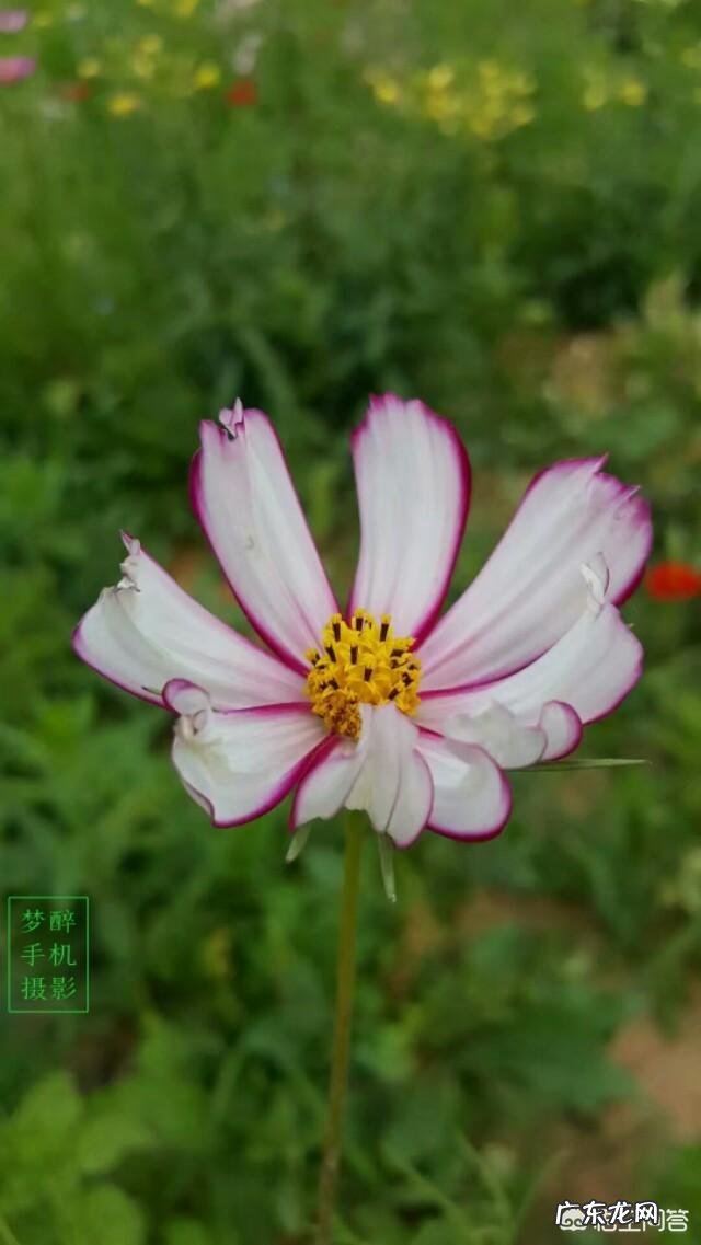 有个特别不会为人处事的婆婆是种什么体验?