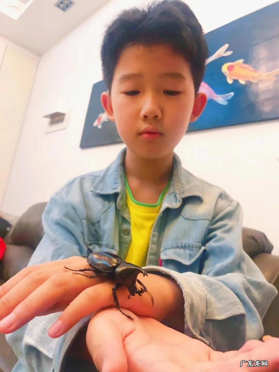 对话“人类满级幼崽”:UP主、网红,还是学霸、神童?