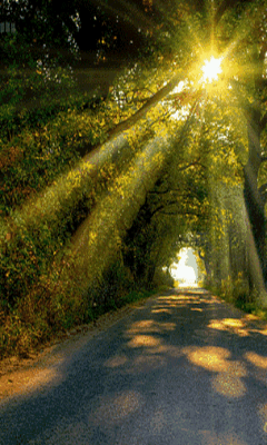 服用曲唑酮三天后,早晨醒得比较早,是什么原因?