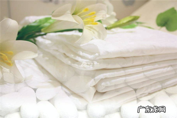 中国十大蚕丝被品牌排行榜辑里 十大蚕丝被品牌排行榜