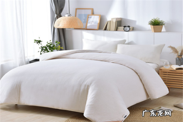 十大名牌棉被 十大棉被品牌排行榜
