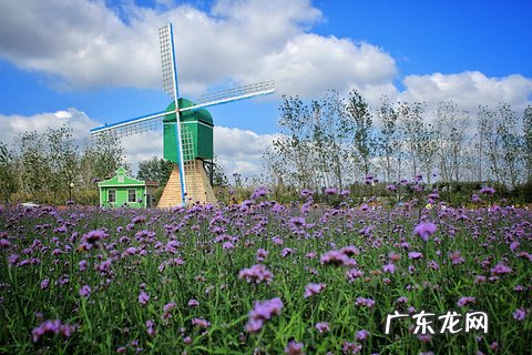 盐城景点哪里值得旅游 盐城旅游景点推荐