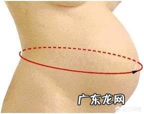 怀孕二十八周的宫高和腹围是多少正常?