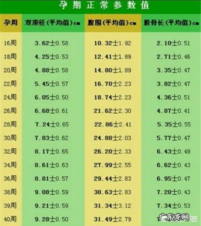 怀孕二十八周的宫高和腹围是多少正常?