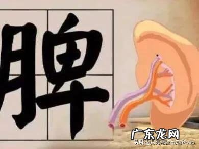 产后喝什么可以补气血,防脱发?