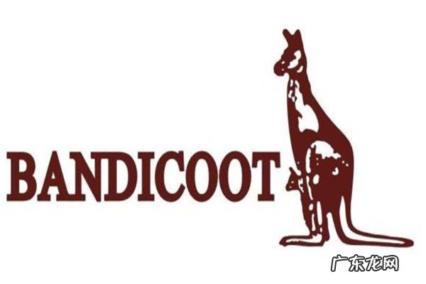 国内知名女包品牌排行榜 国内女包十大品牌排行榜:金狐狸上榜