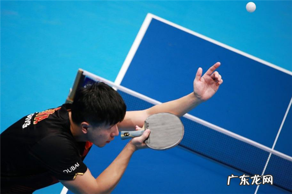 乒乓球品牌大全 十大乒乓球品牌排行榜