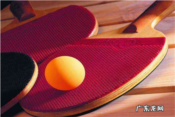 乒乓球品牌大全 十大乒乓球品牌排行榜