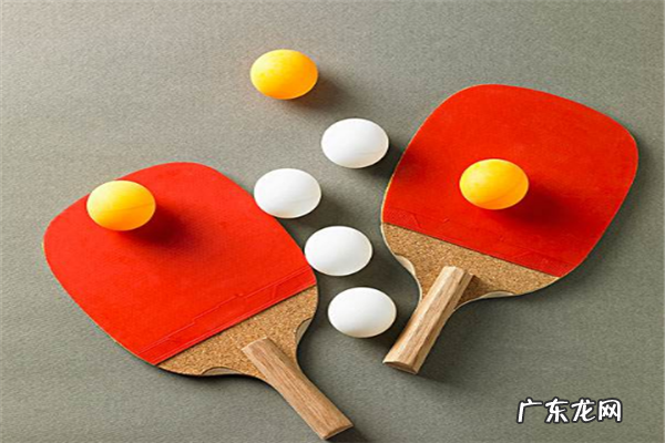 乒乓球品牌大全 十大乒乓球品牌排行榜