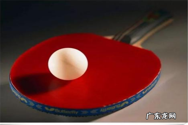 乒乓球品牌大全 十大乒乓球品牌排行榜