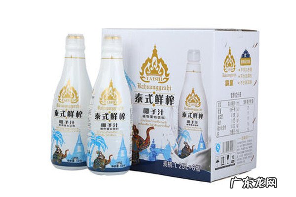 全国椰子汁销量排行榜 国内销量好的椰子汁品牌