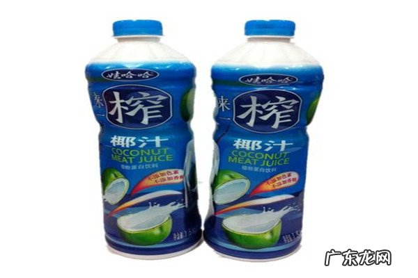 全国椰子汁销量排行榜 国内销量好的椰子汁品牌