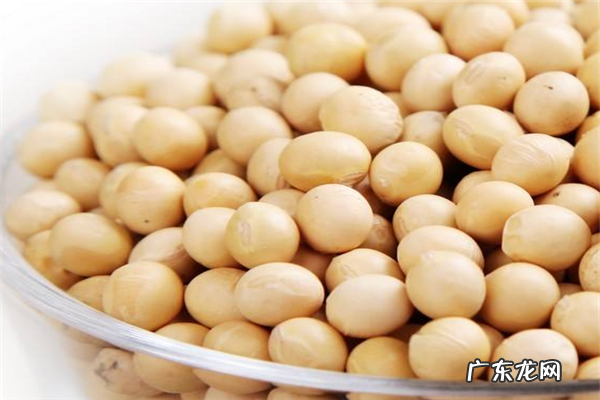 2020十大黄豆品牌排行榜 十大有机黄豆品牌排行榜
