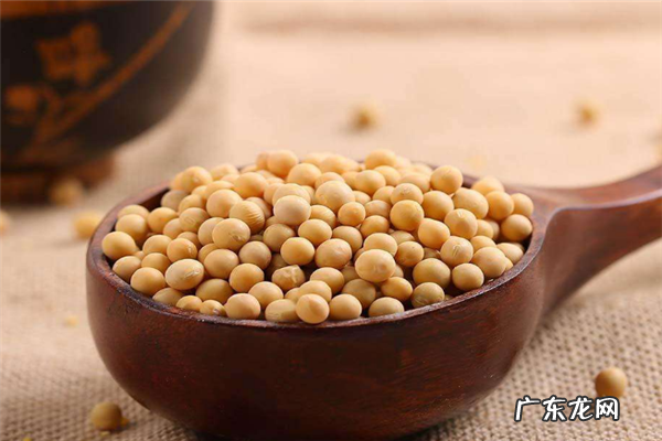 2020十大黄豆品牌排行榜 十大有机黄豆品牌排行榜