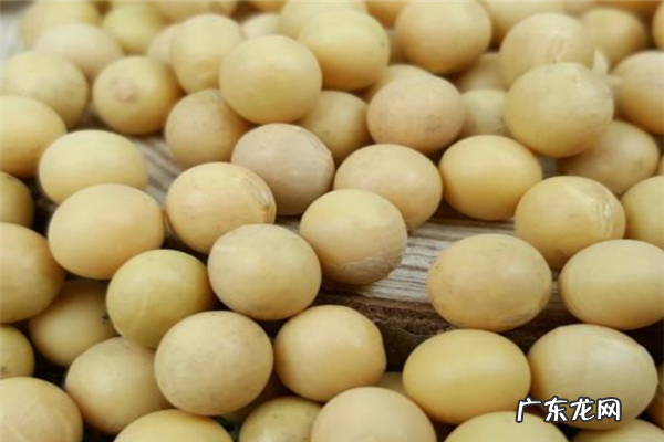 2020十大黄豆品牌排行榜 十大有机黄豆品牌排行榜
