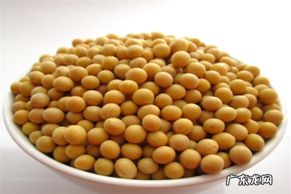 2020十大黄豆品牌排行榜 十大有机黄豆品牌排行榜