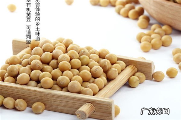 2020十大黄豆品牌排行榜 十大有机黄豆品牌排行榜