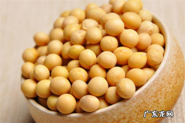 2020十大黄豆品牌排行榜 十大有机黄豆品牌排行榜