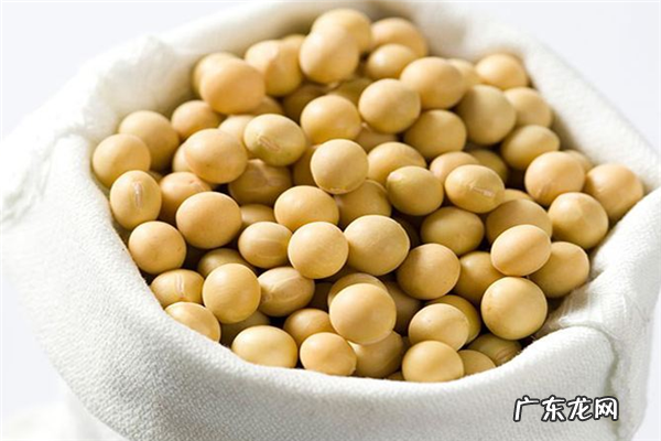 2020十大黄豆品牌排行榜 十大有机黄豆品牌排行榜