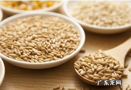 护肝除了水飞蓟还需要注意什么