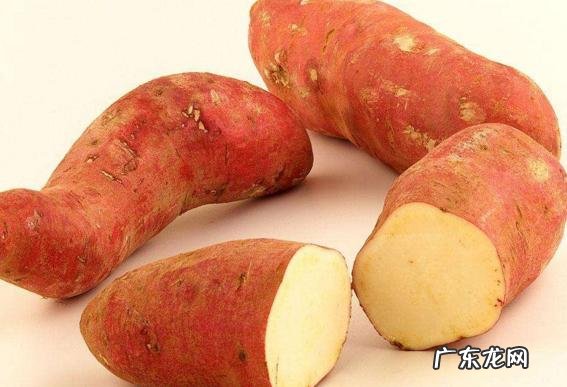 护肝除了水飞蓟还需要注意什么