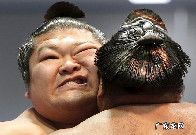 日本女明星为什么更喜欢相扑运动员?