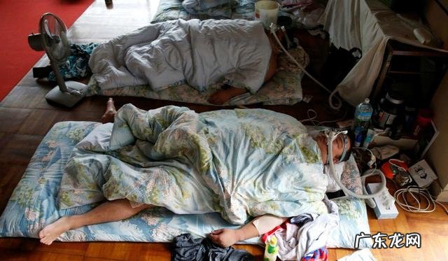 日本女明星为什么更喜欢相扑运动员?