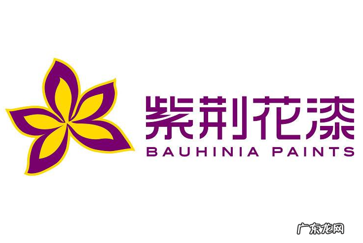 水漆排名前十的品牌 全国十大水漆品牌