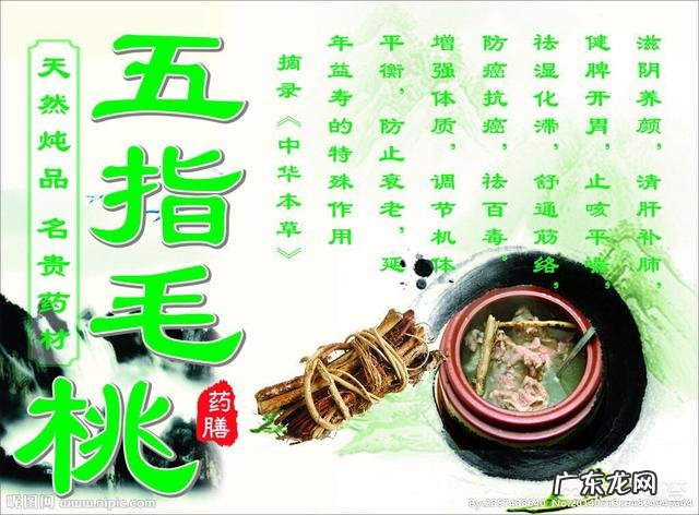 五指毛桃煲汤可以天天喝吗?