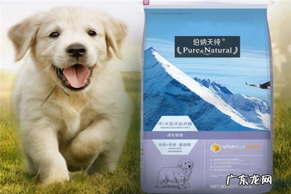 哪种品牌的狗粮比较好 什么牌子的狗粮最好?世界十大狗粮品牌排行榜