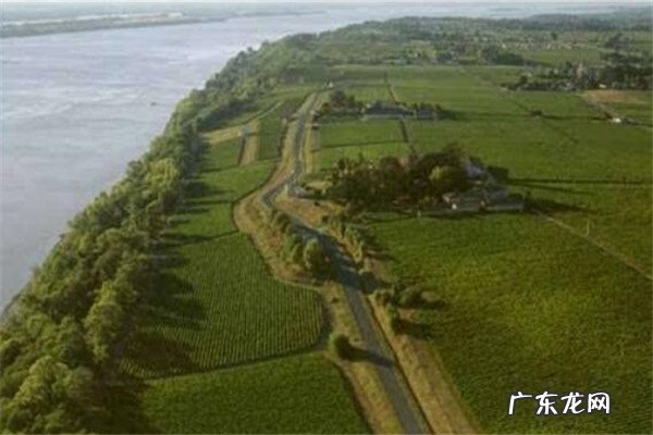 世界最大的葡萄酒生产地 世界葡萄酒十大产区