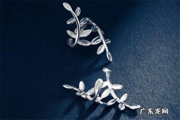 银比较出名的牌子 最受欢迎的银有哪些?十大银品牌排行榜推荐