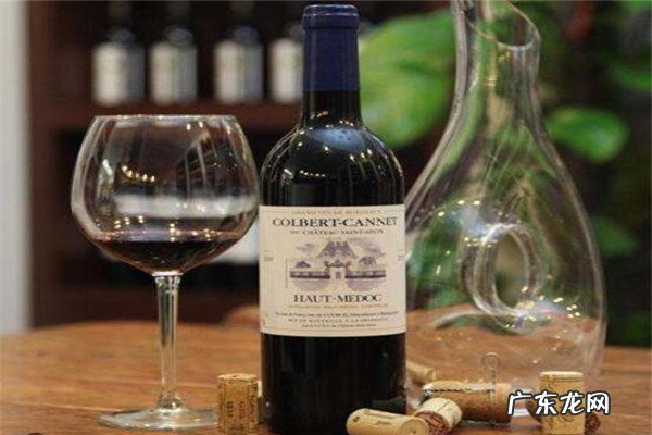 智利葡萄酒品牌大全 智利哪些品牌的葡萄酒好?智利葡萄酒牌子排名推荐