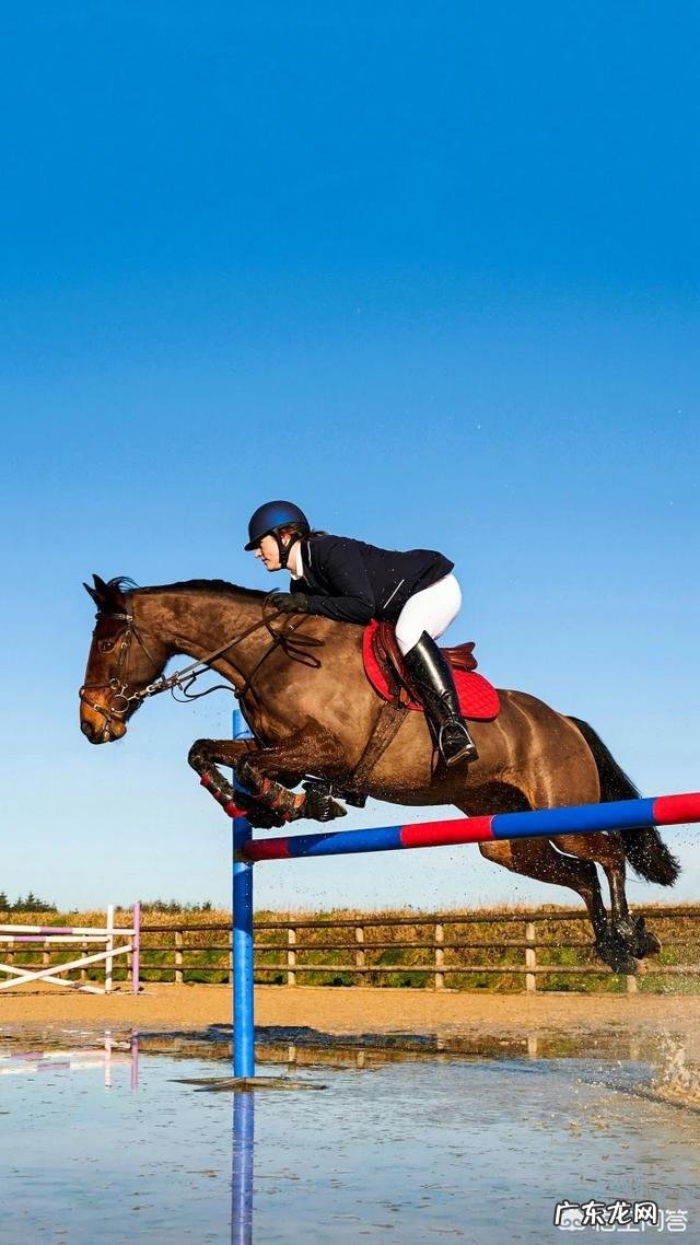 碳、氮、氢、氧 生物是什么组成的等成分组合成的吗