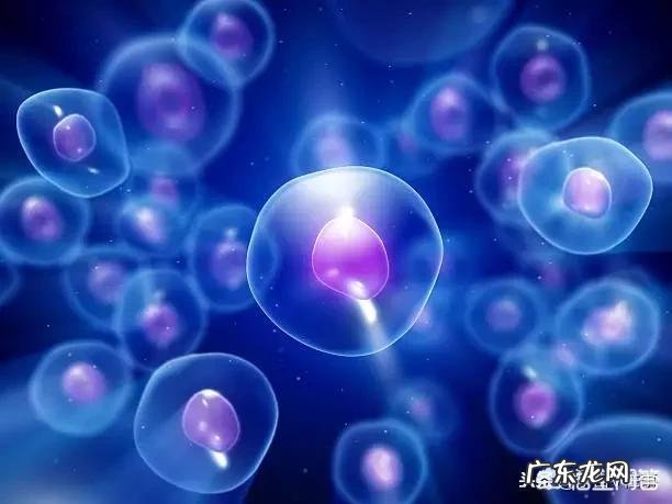 碳、氮、氢、氧 生物是什么组成的等成分组合成的吗