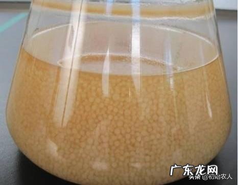 如何保持食用菌菌种的活力