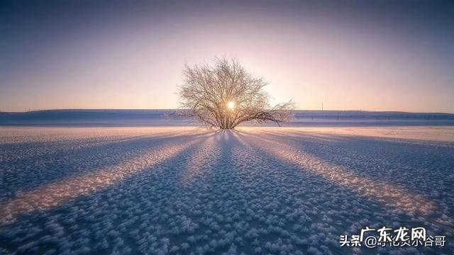 海南的物价高工资低,可海南人是怎么生活得这么悠哉的