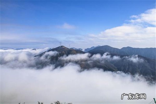 清远美食老字号推荐 清远十大热门饮品店排名