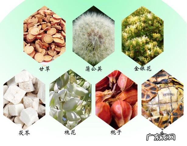 龟苓膏是怎么做出来的?有什么功效?