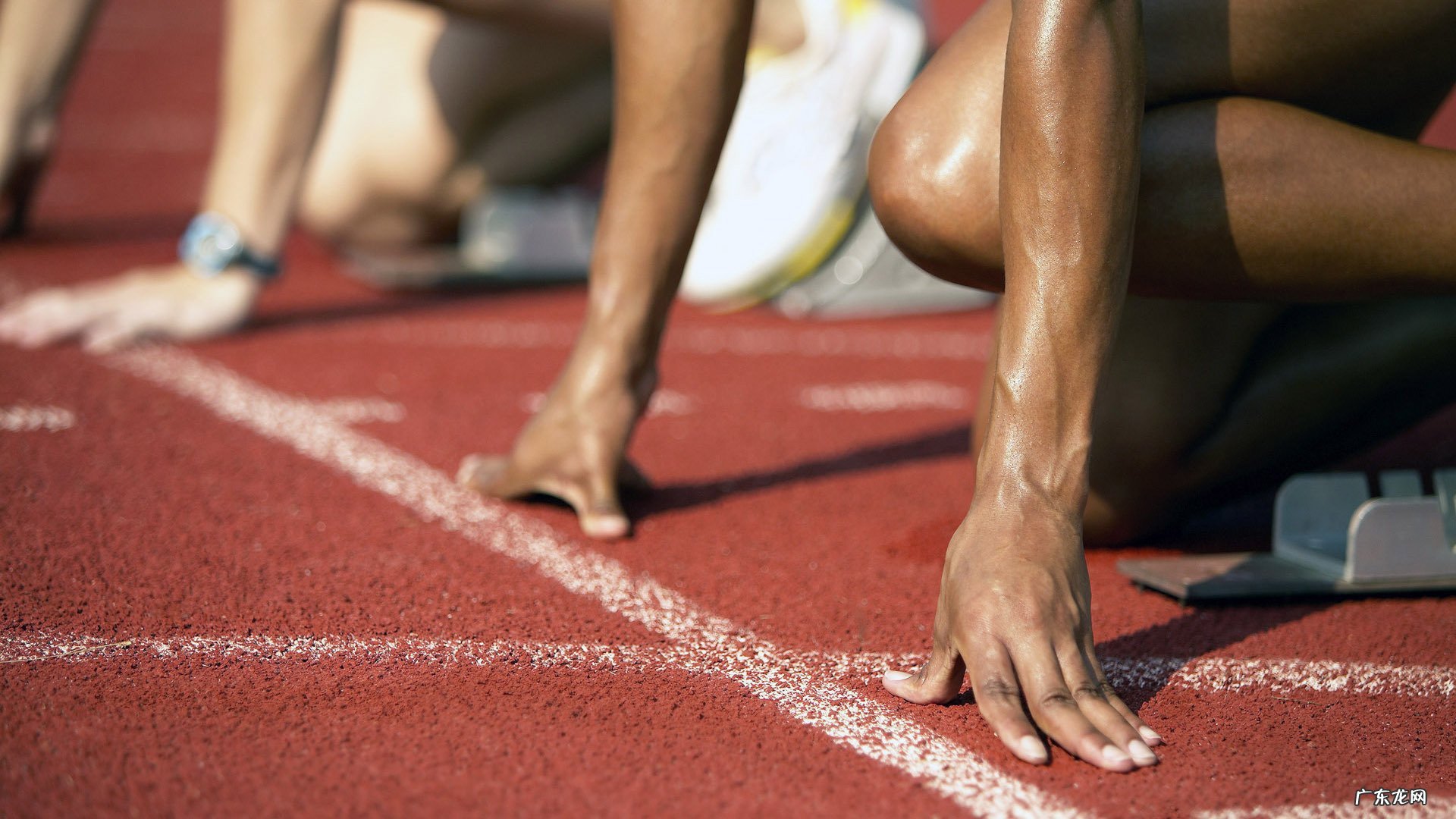 有没有味道很好又减肥的食谱?