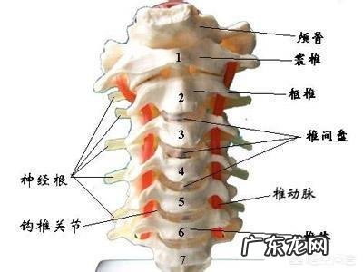 颈椎不好，有什么好的建议