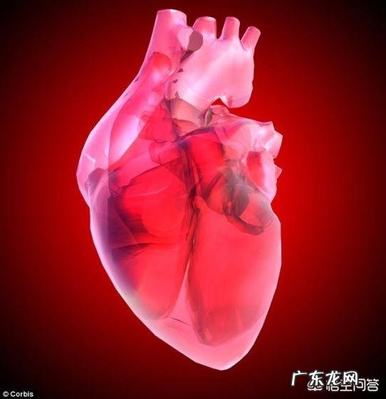 心衰病人一活动就喘,该怎么办