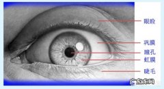 每天玩手机5-6个小时，老了眼睛会不会瞎