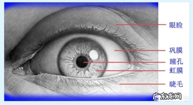 每天玩手机5-6个小时,老了眼睛会不会瞎