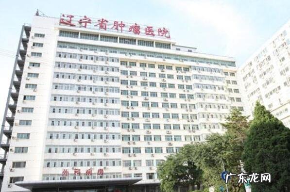 沈阳最好的医院是哪一家 沈阳好的医院排名前十